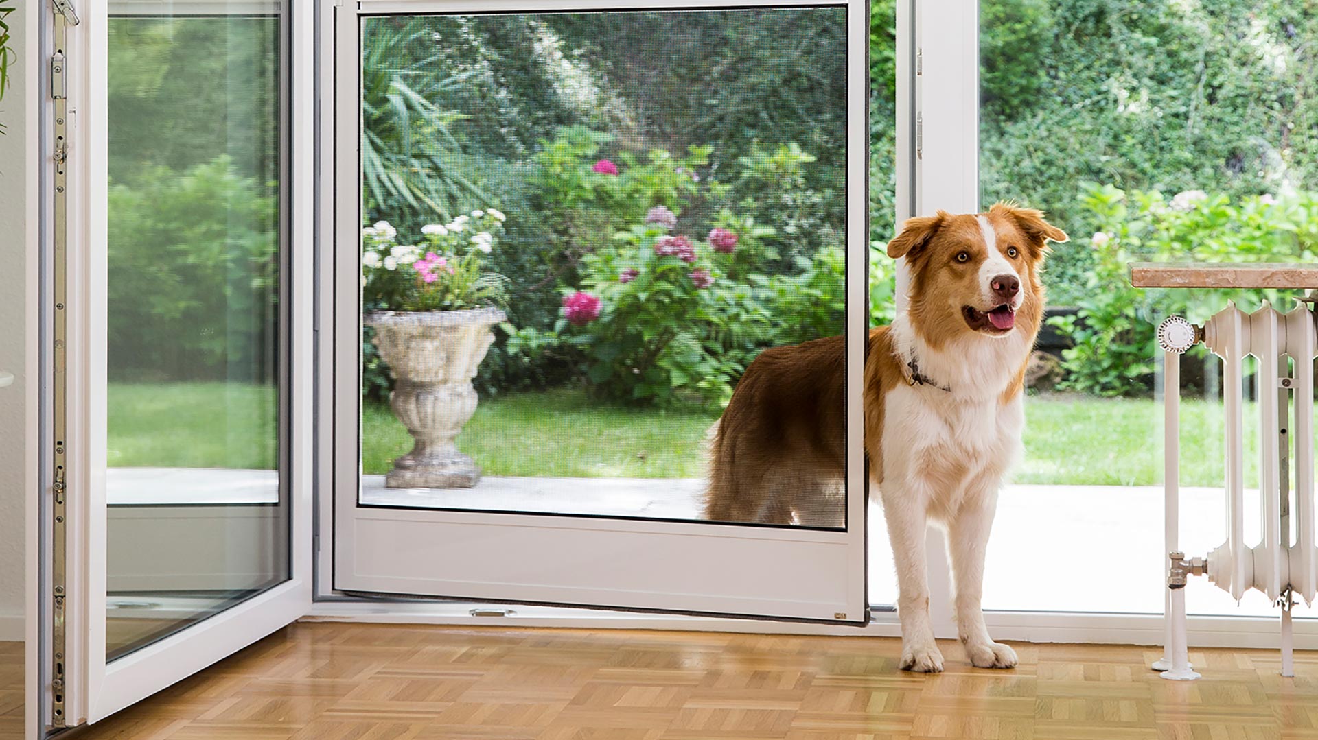 Homepage Fa. weik.online GmbH: Startbild